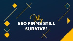 Homepage Why SEO Firms Still Survive